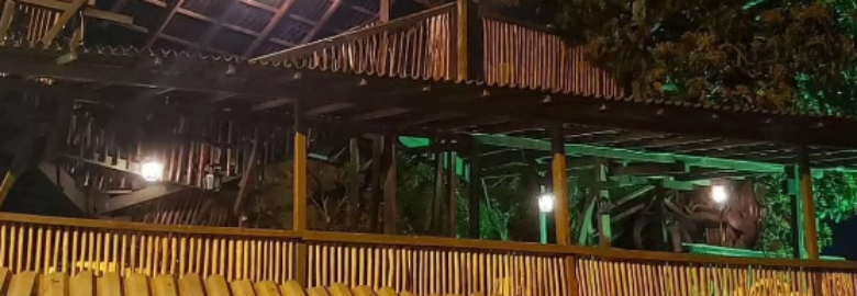 Bar da Árvore/Bar Fundo de Quintal