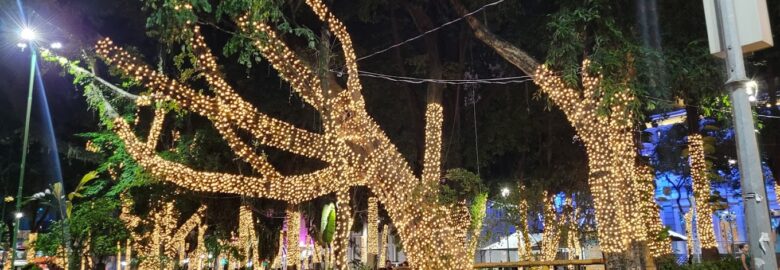 Parque Halfeld