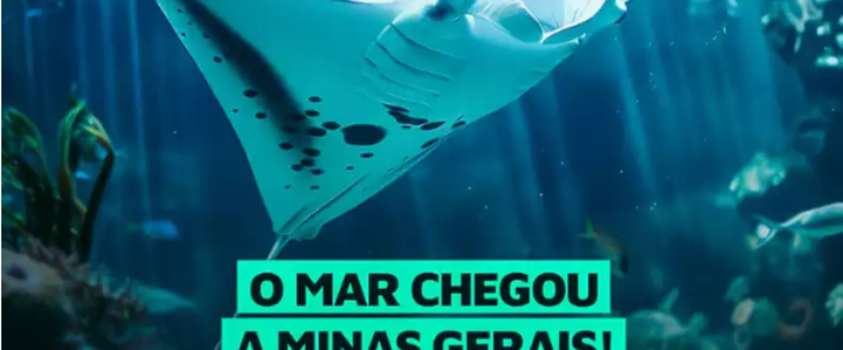 Imerso Mar – Sua experiência imersiva