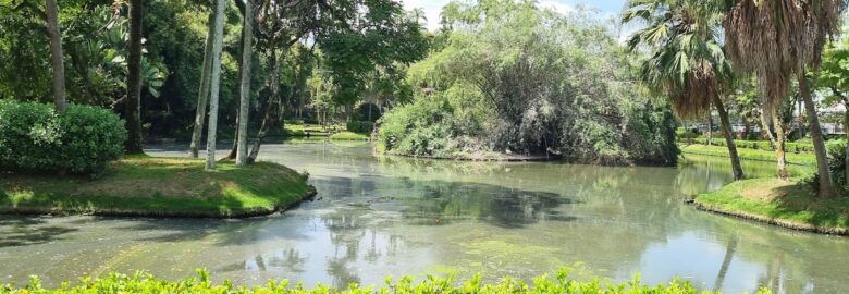 Jardins do Museu Mariano Procópio